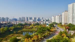 Discover Affordable and Convenient Cheongju OP Services